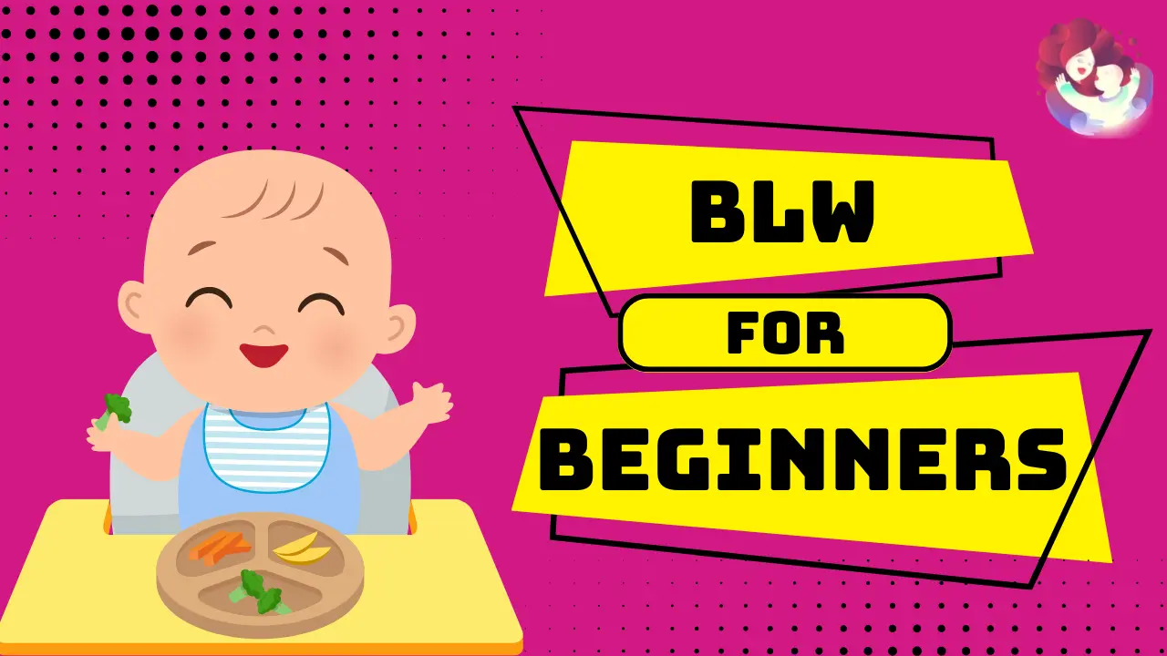 Baby-Led Weaning For Beginners – How To Implement Baby-Led Weaning